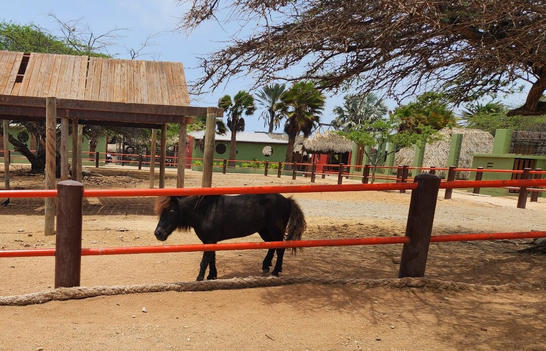 Philip's Animal Garden-Noord必去景点