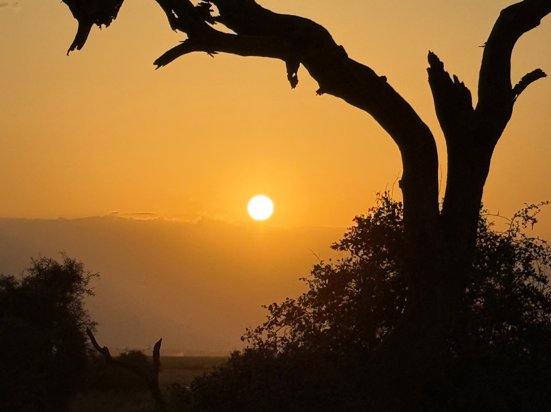 Safari Kenya Plus - Private Day Tour-马林地必去景点