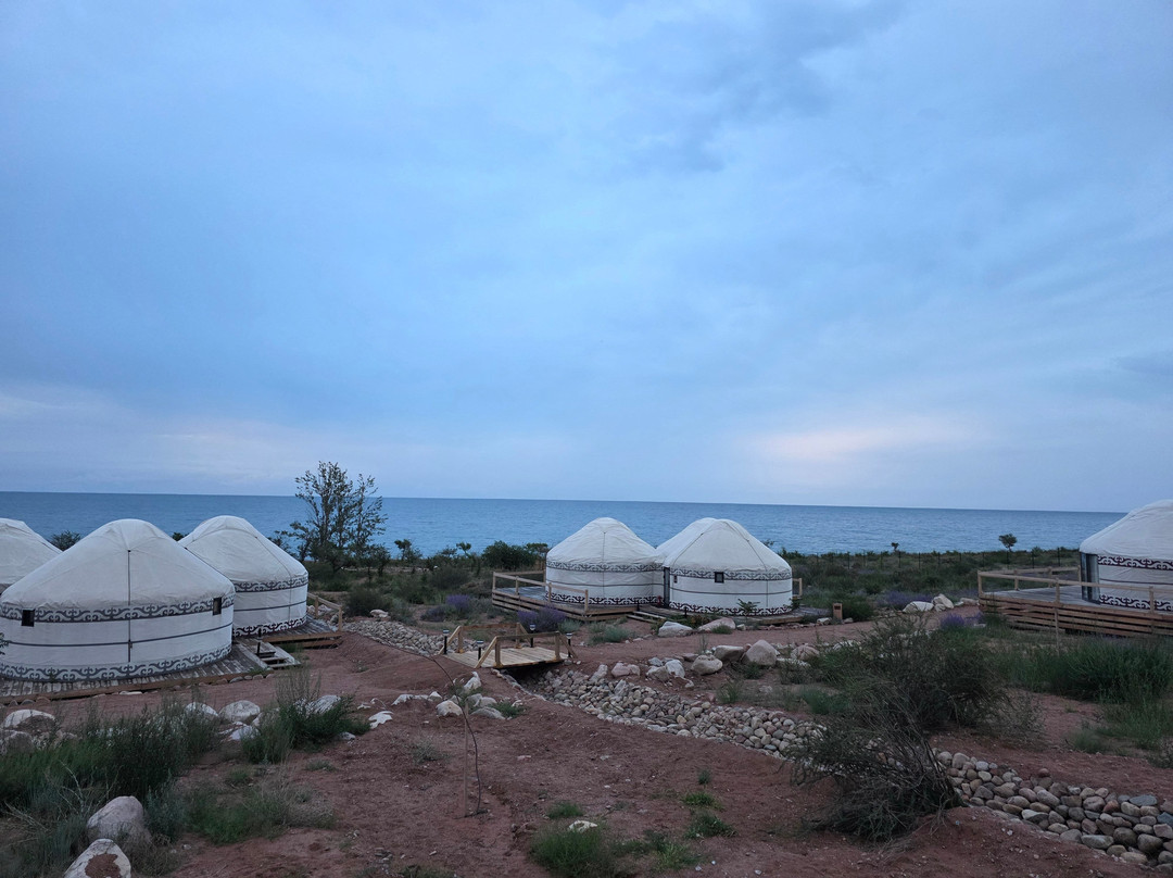 Oimo Tash Yurt Camp