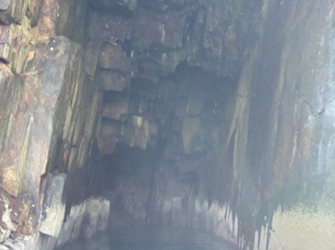 Bantry Sea Safari & Rentals-Bantry必去景点