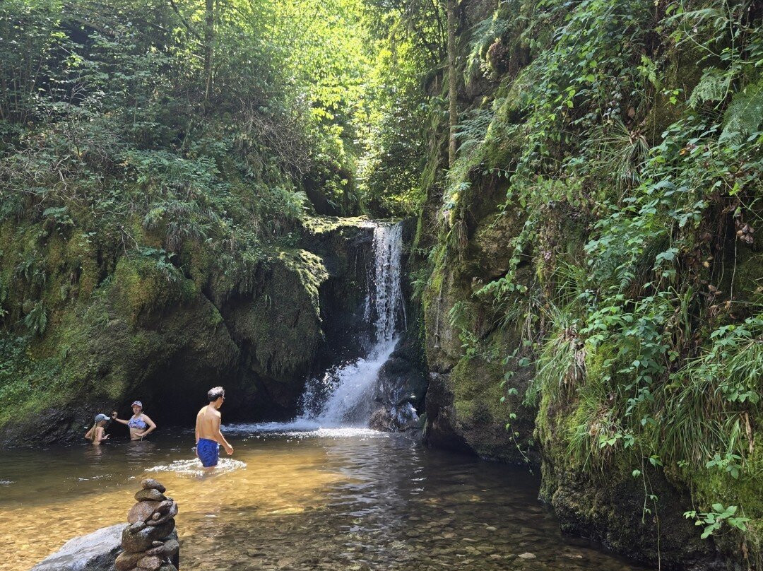 Geroldsau Waterfall-巴登巴登必去景点