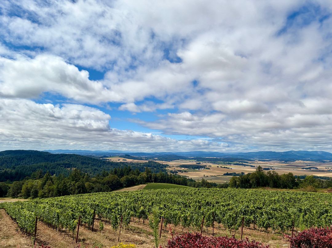 Bryn Mawr Vineyards-塞勒姆必去景点