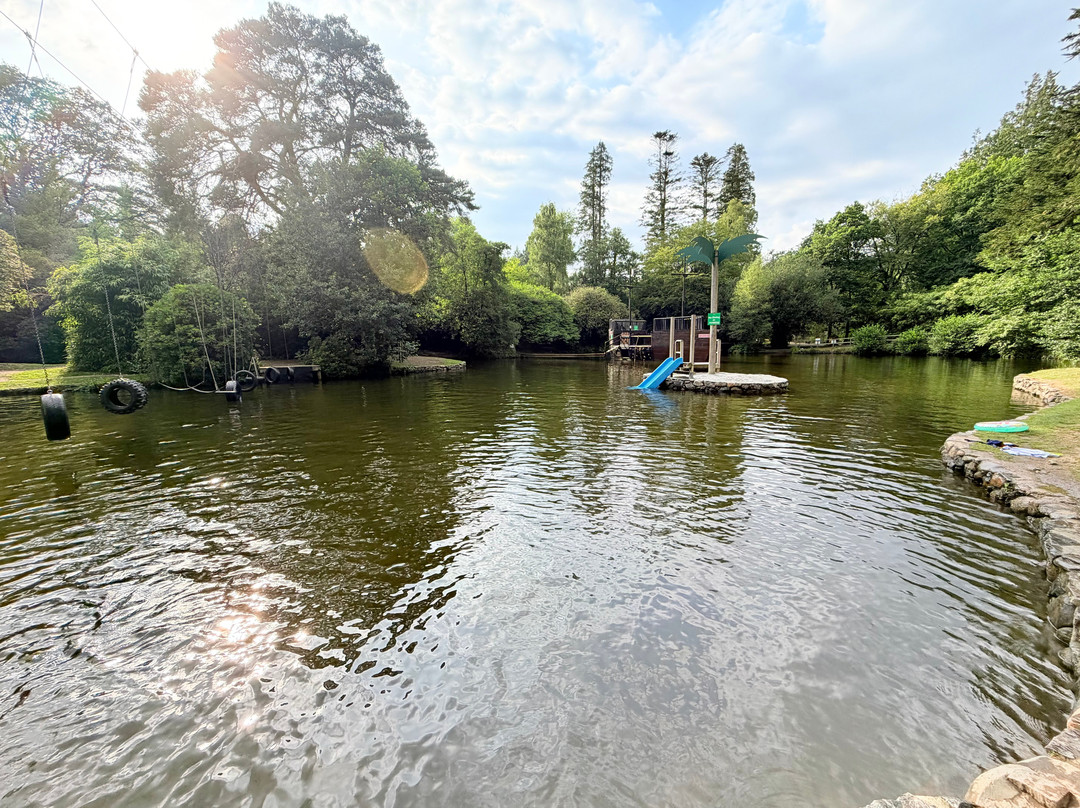 River Dart Country Park-Ashburton必去景点