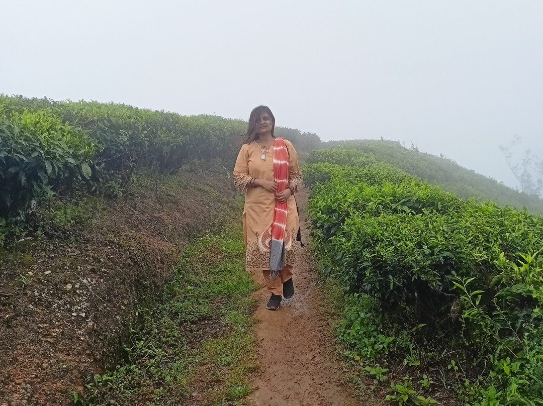 TRAVEL MISSION PRIVATE LIMITED-Maharagama必去景点