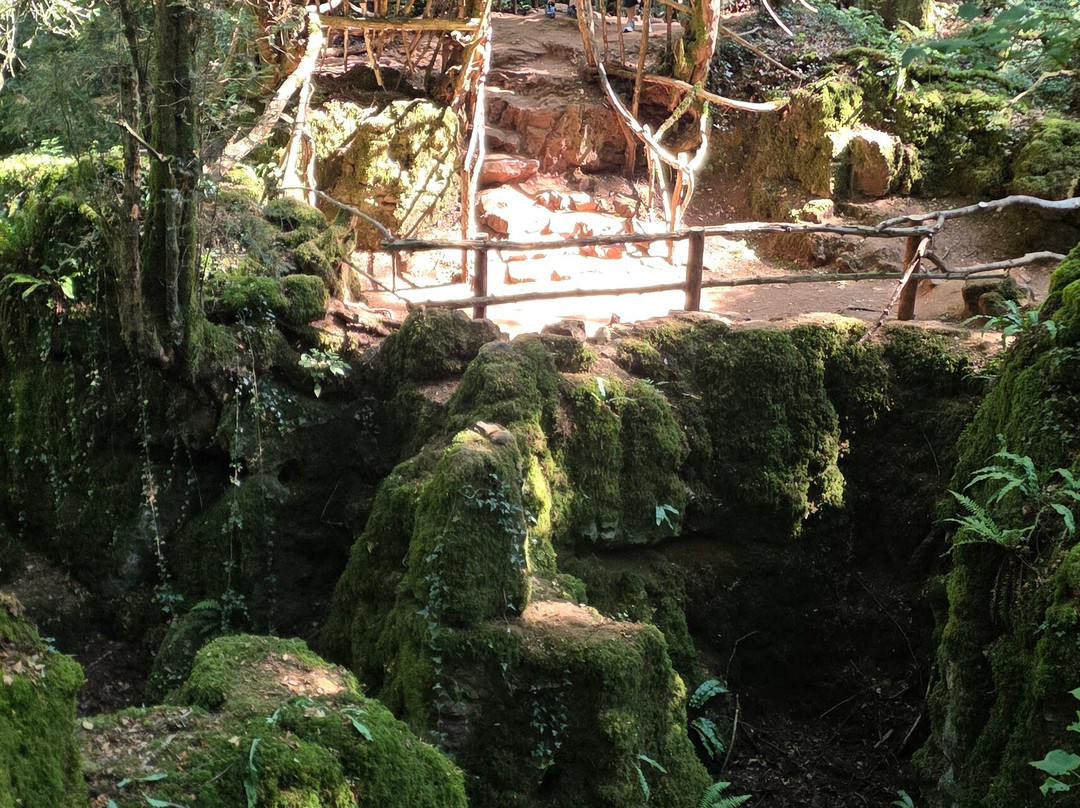 Puzzlewood-Coleford必去景点