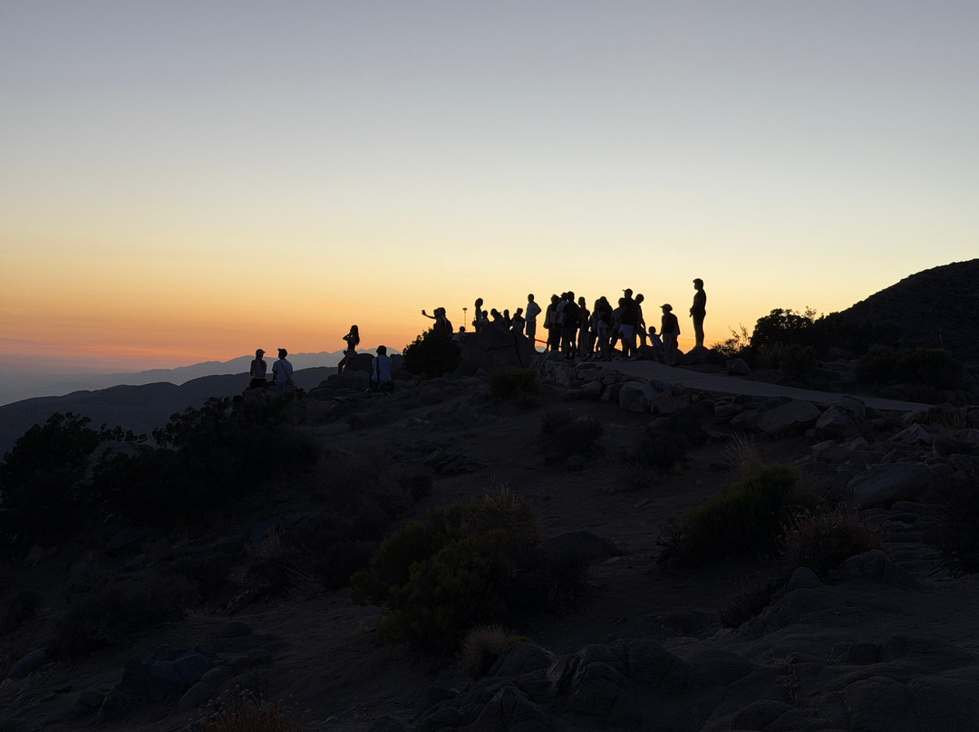 Joshua Tree National Park-约书亚树必去景点