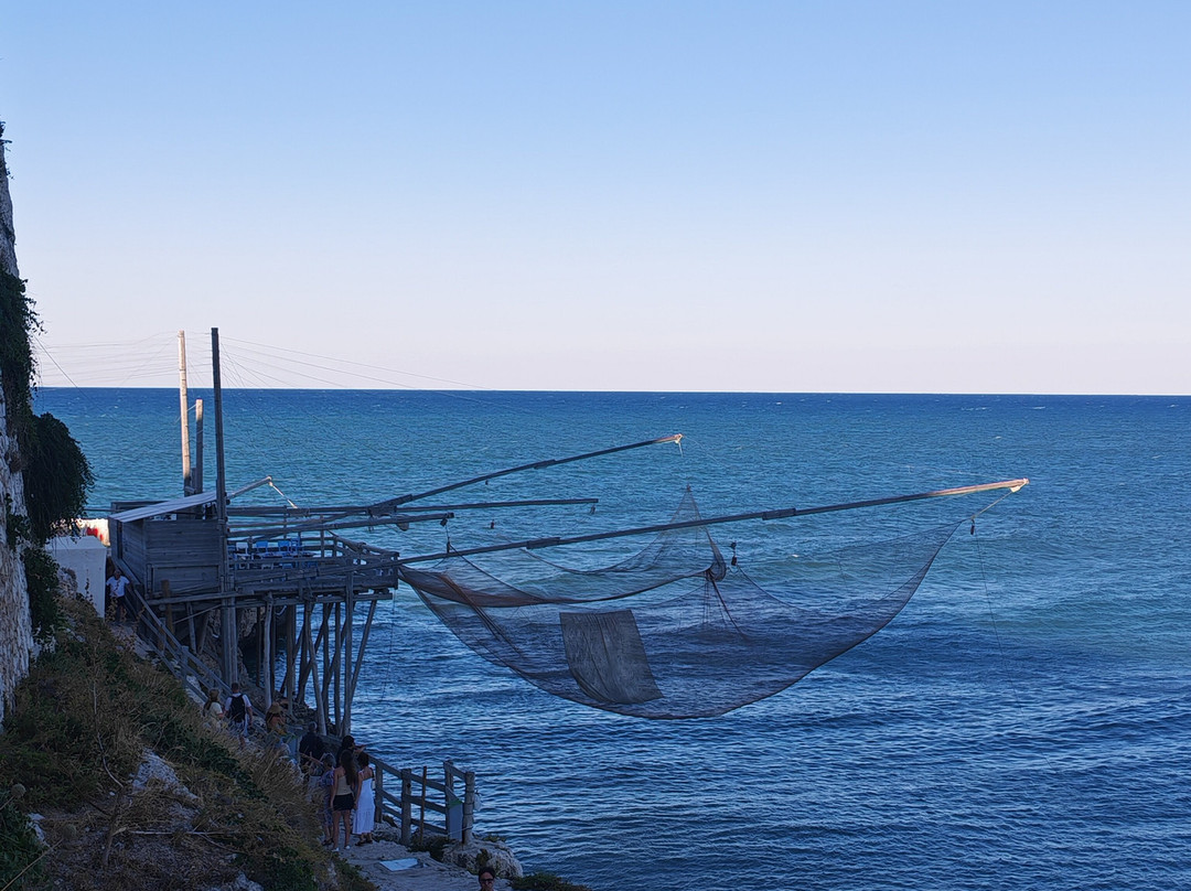 Trabucco Di Punta San Francesco-维耶斯泰必去景点
