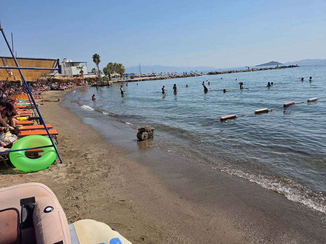 Turgutreis Market-Turgutreis必去景点