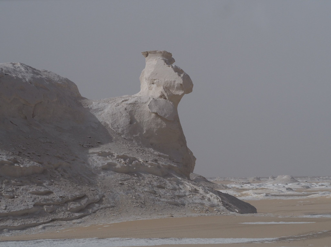 Bedouin Trails