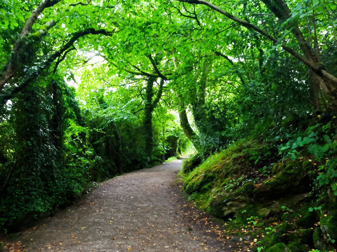 Lurgybrack Open Farm-County Donegal必去景点