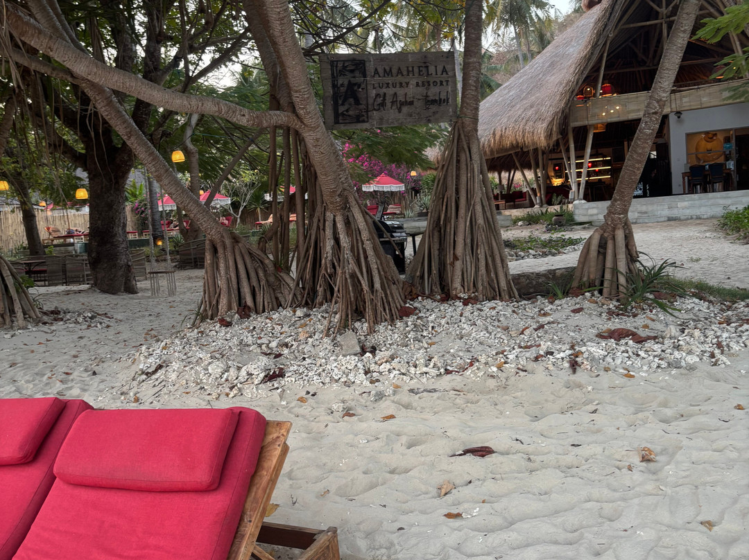 Amahelia Luxury Resort & Restaurant - Gili Asahan主图