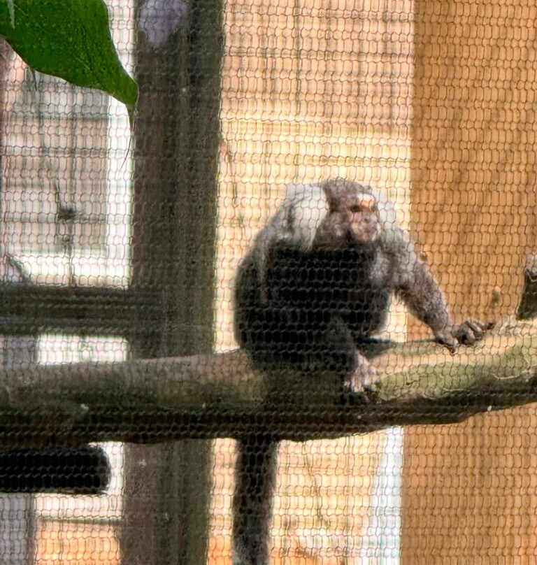 Cohanzick Zoo-Bridgeton必去景点