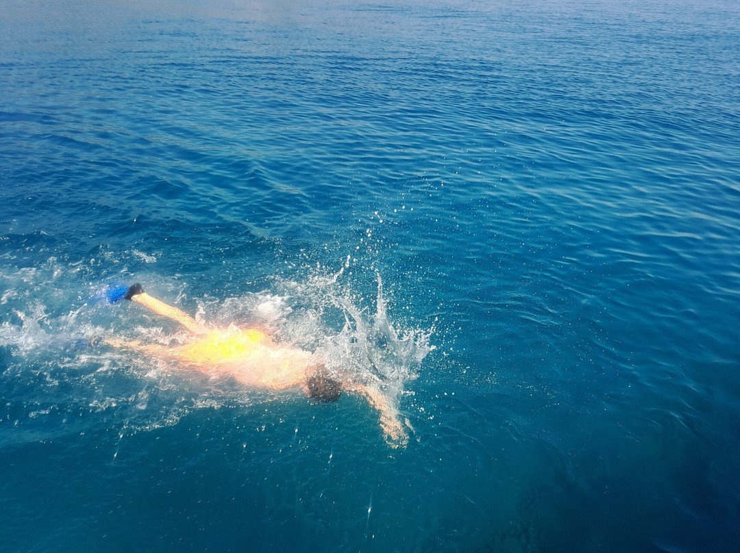 Mehmet kara Private Boat Trip-马尔马里斯必去景点