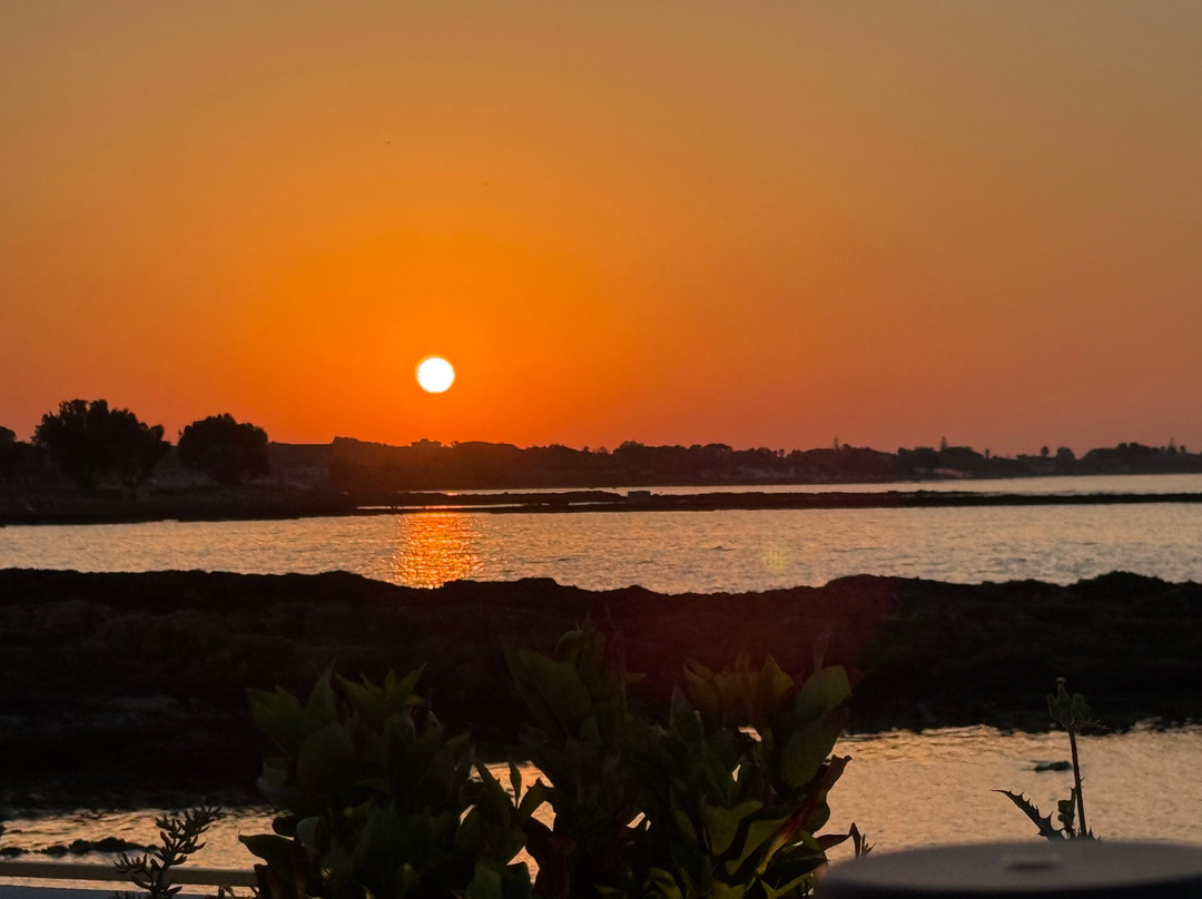 PIC NIC Brindisi Restaurants Beach Club