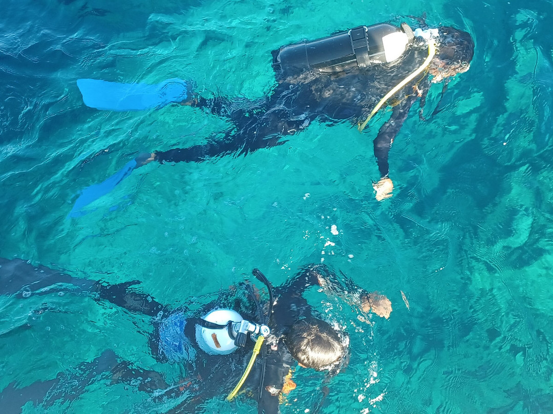 Abyssos Diving School & Snorkeling-Capo Comino必去景点