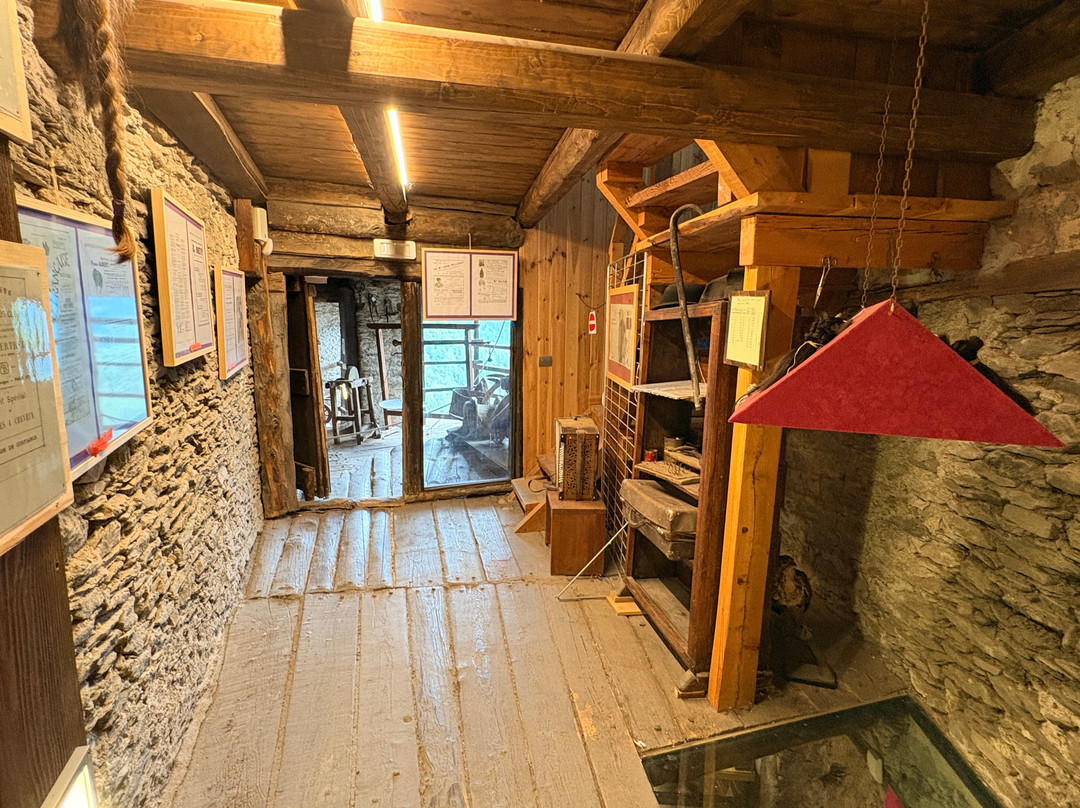 Museo Dei Cavie' - Museo Di Pels-Elva必去景点