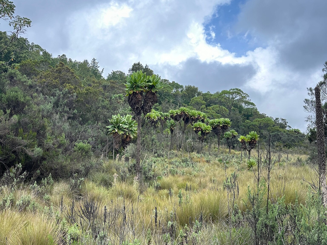 Mount Elgon Trekkers-Kapchorwa必去景点