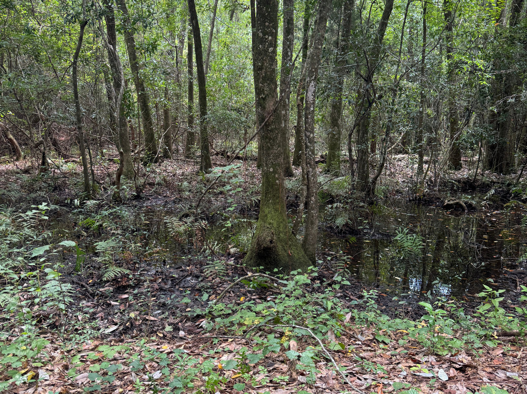 Blackwater Heritage State Trail-Milton必去景点