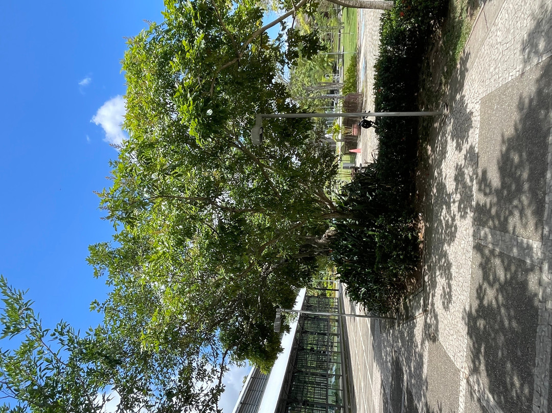 莽卡加西亚-贝伦必去景点