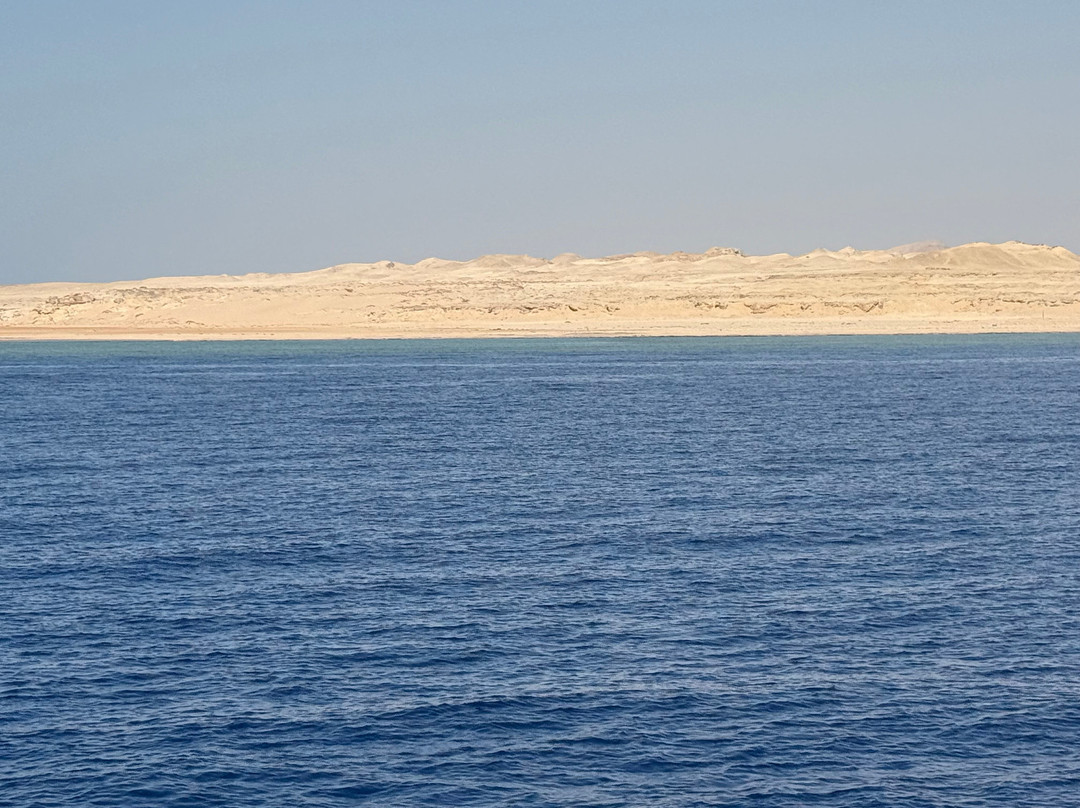 Sinai Dive Club-沙姆沙伊赫必去景点