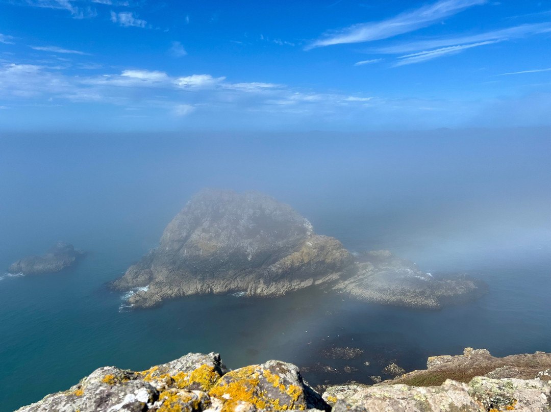 Pembrokeshire Islands Boat Trips-Marloes必去景点