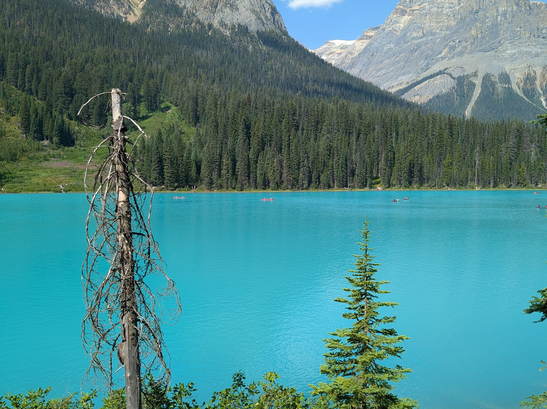 Yoho National Park-菲尔德必去景点