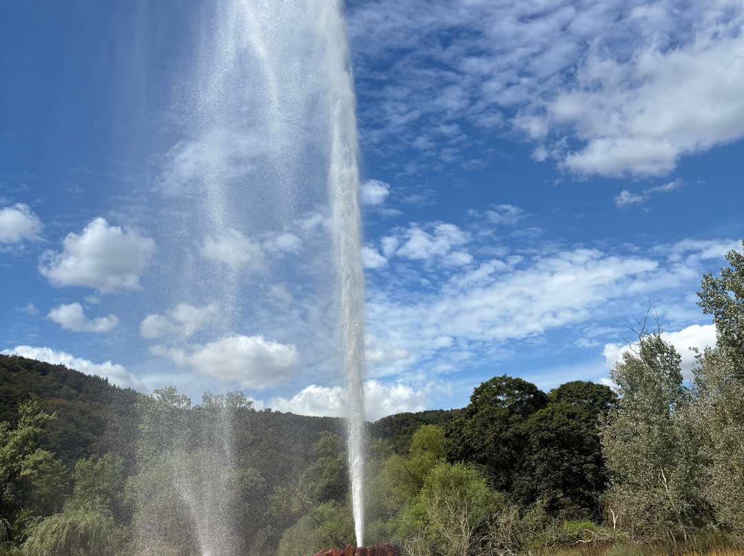 Geysir Andernach-安德纳赫必去景点