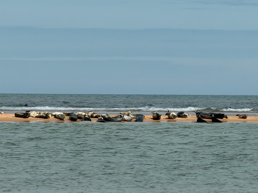 Newburgh Seals Beach-Newburgh必去景点