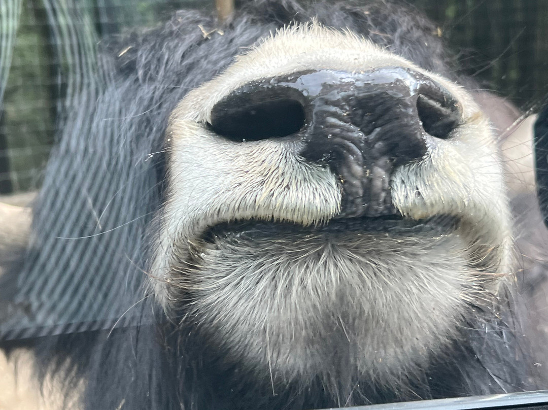 Animal Adventure Park-Harpursville必去景点