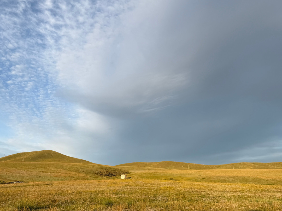 Hustai National Park-乌兰巴托必去景点