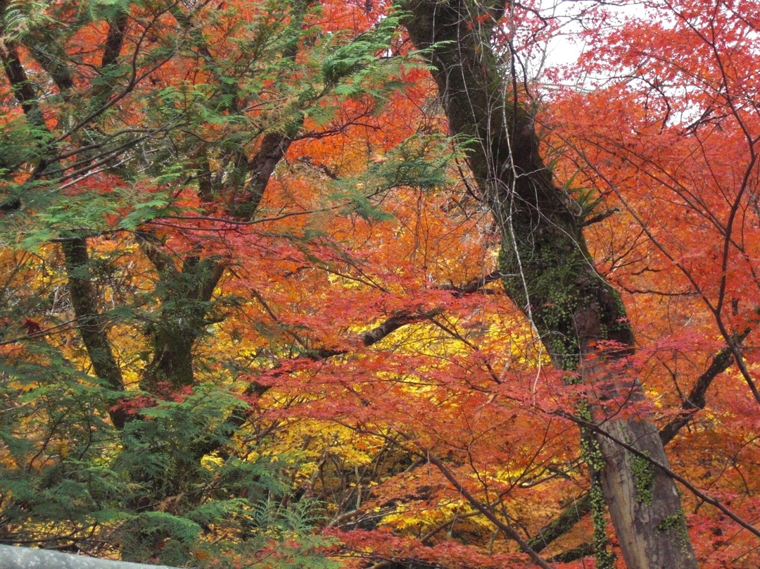 Ishiyamadera Temple-大津市必去景点