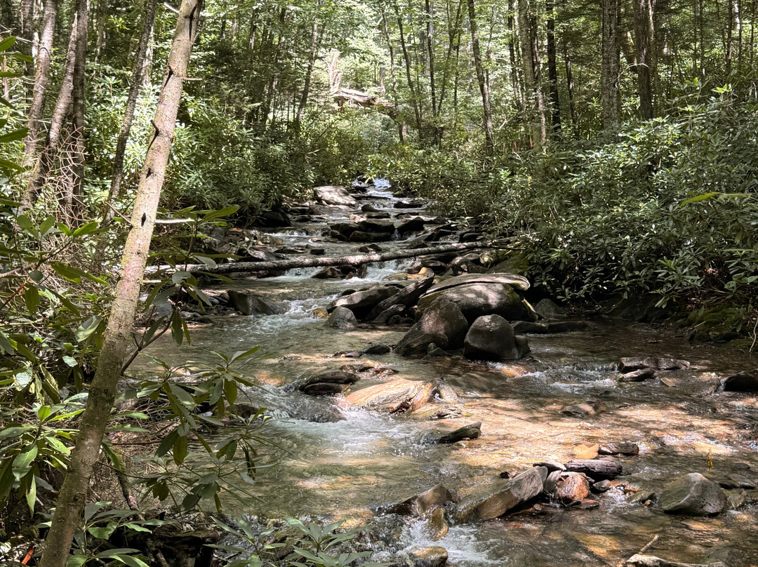 Mount LeConte-大雾山国家公园必去景点
