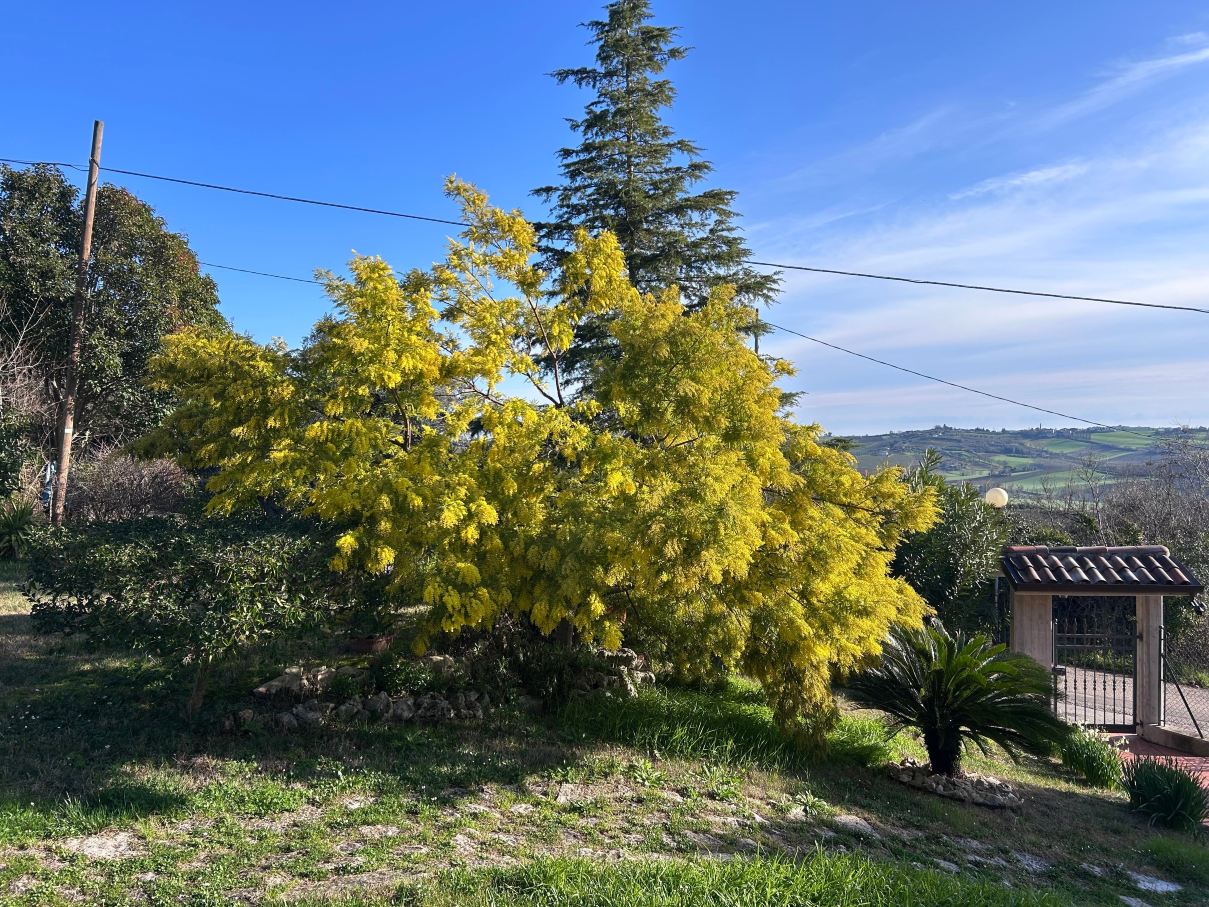 B&B MARILENIA-旅行者