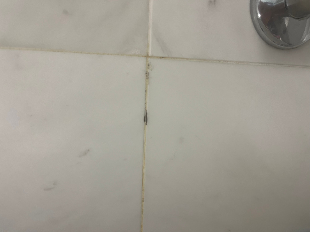 雷玛格兰酒店主图