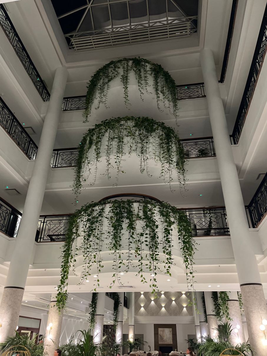 尼科西亚希尔顿酒店-旅行者