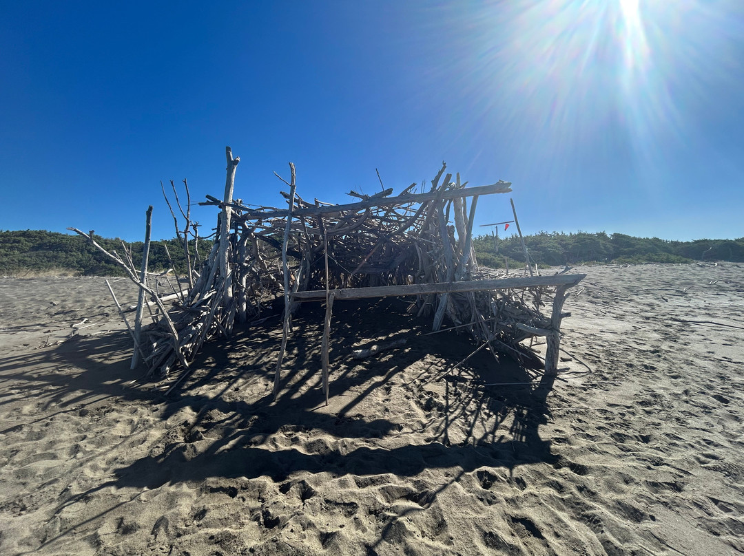 Spiaggia libera di Bibbona-Marina di Bibbona必去景点