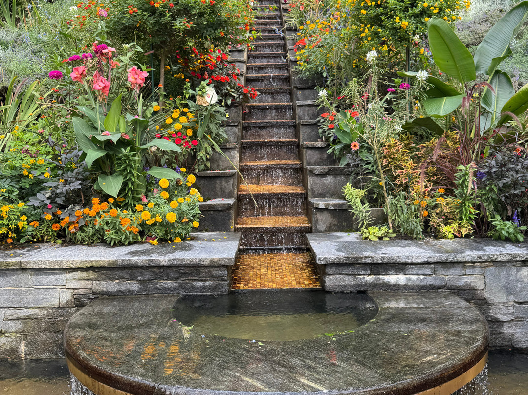 Isle of Mainau-康士坦茨必去景点