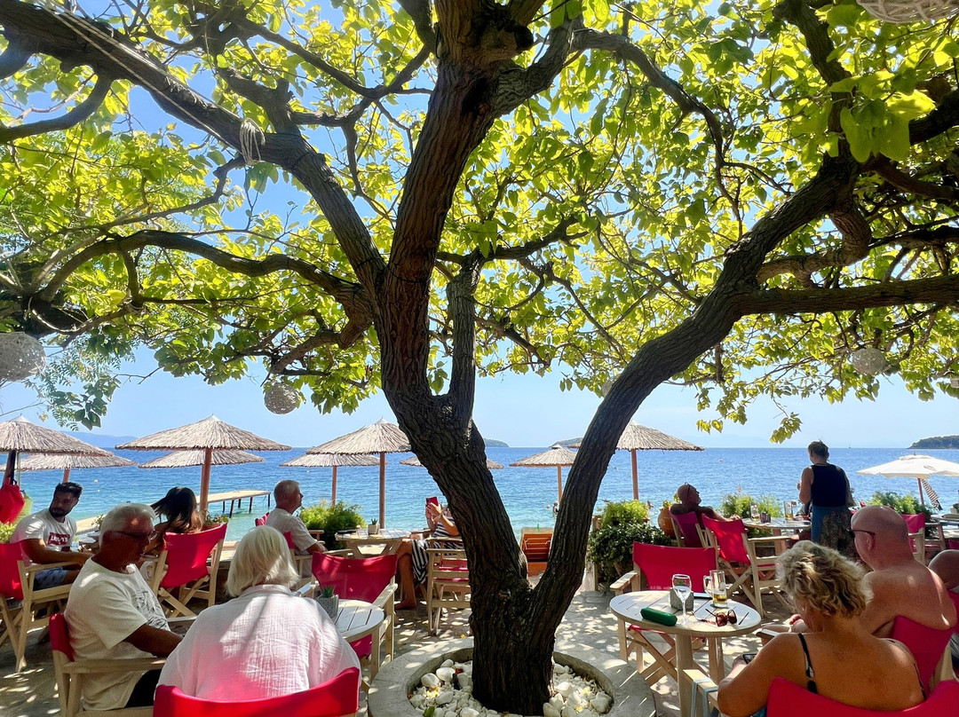 Mojo Bar by the Sea-Skiathos Town必去景点
