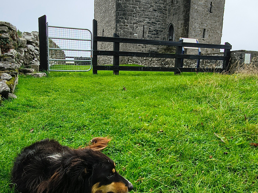 Gleninagh Castle and Fulacht Fiadh-Ballyvaughan必去景点