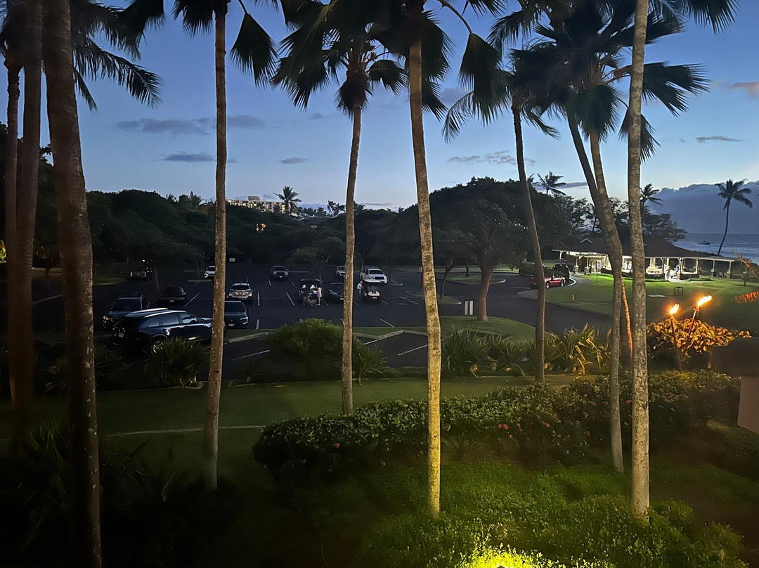 The Westin Ka'Anapali Ocean Resort Villas主图