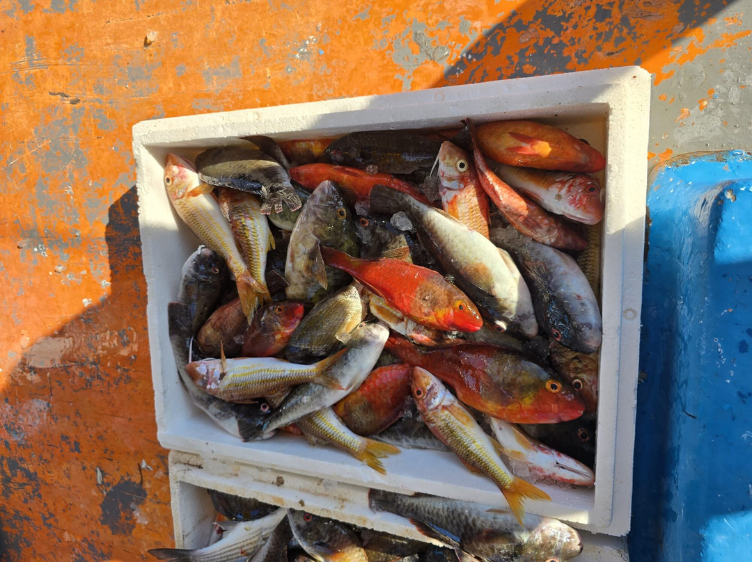Fishing Tourism Kefalonia Michalis-Svoronata必去景点