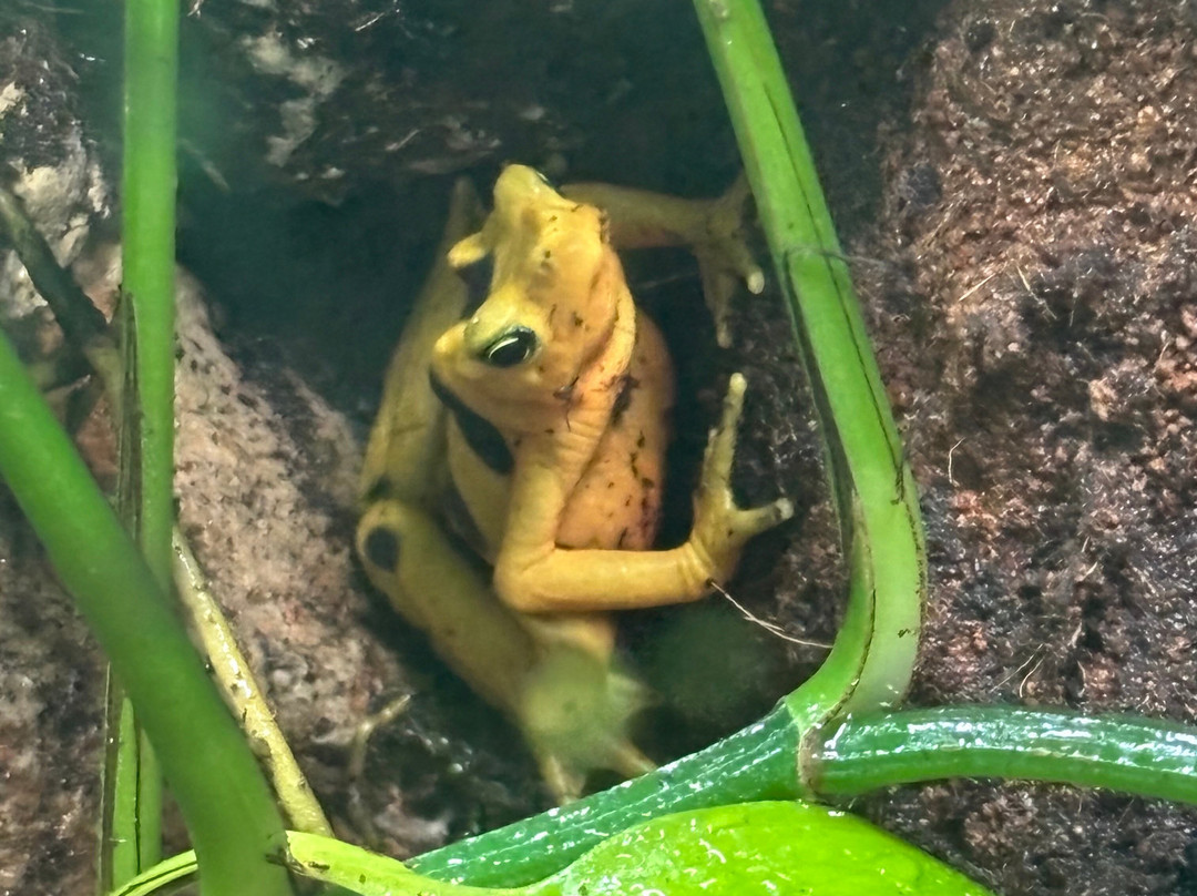Punta Culebra Nature Center-巴拿马城必去景点