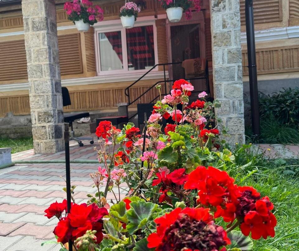 Casa traditionala Subcetate