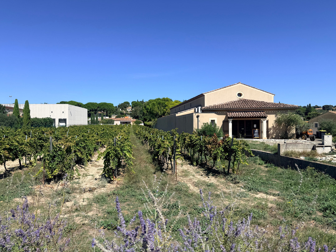 Domaine Val De L'orme