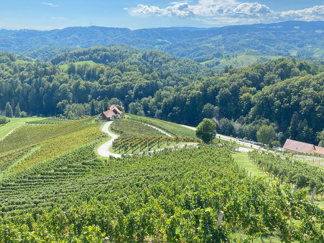 Šerbinek Winery & the Heart-Shaped Wine Road-Zgornja Kungota必去景点