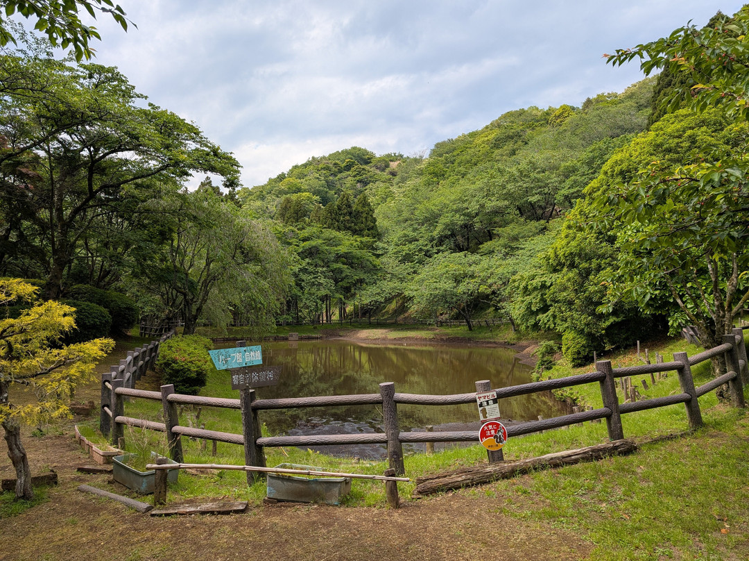 Saimyoji Temple Historic Park-松田町必去景点