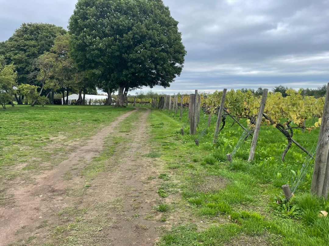 Sealwood Cottage Vineyard-Linton必去景点