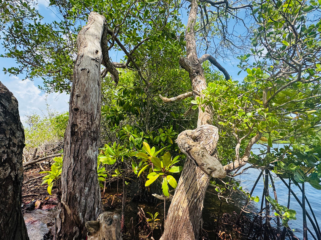 Koggala Lake Boat Safari & Kayak Adventure with Malish-克拉必去景点