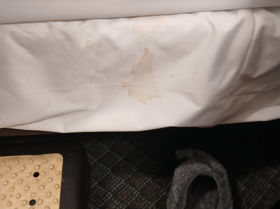 坎克马格斯旅舍主图