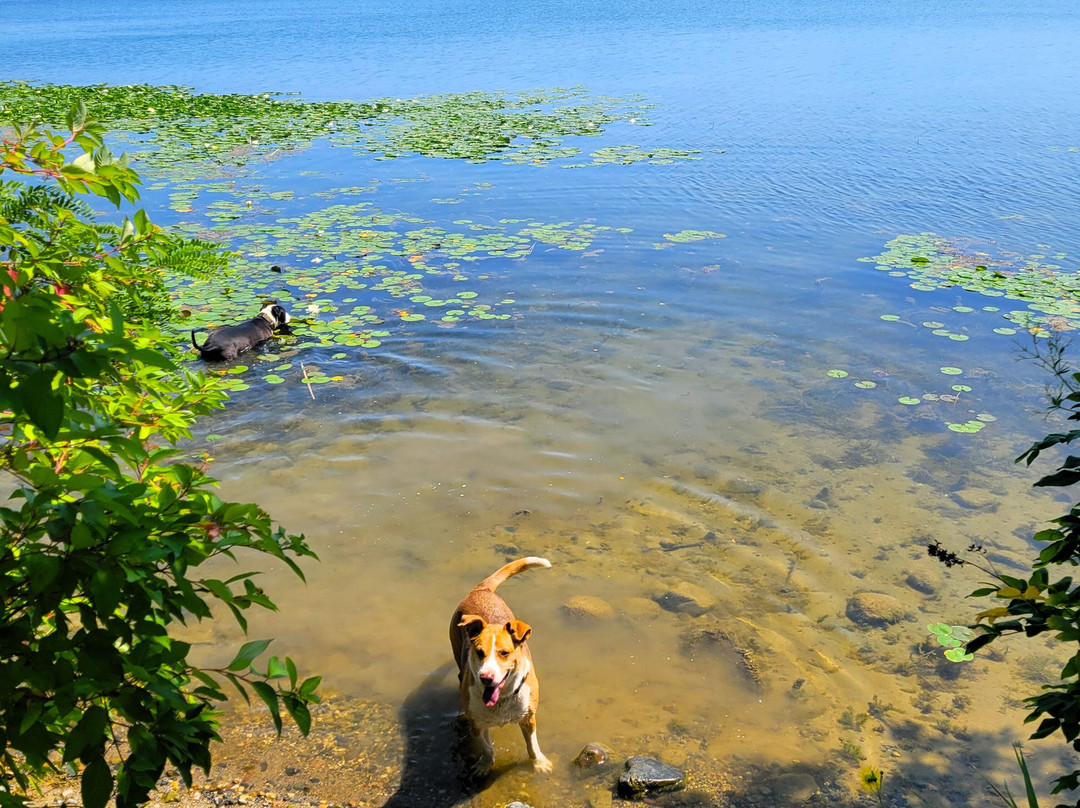 Kraemer Lake & Wildwood Park-Saint Joseph必去景点